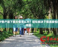 CF客戶端下載太慢怎么辦？輕松解決下載速度慢的煩惱！