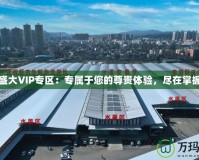 盛大VIP專區(qū)：專屬于您的尊貴體驗，盡在掌握