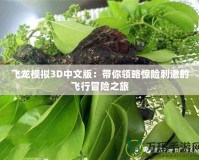 飛龍模擬3D中文版：帶你領(lǐng)略驚險(xiǎn)刺激的飛行冒險(xiǎn)之旅