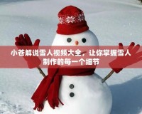 小蒼解說(shuō)雪人視頻大全，讓你掌握雪人制作的每一個(gè)細(xì)節(jié)