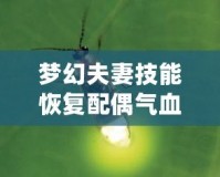 夢幻夫妻技能恢復(fù)配偶?xì)庋蛡麆?，攜手共度每個(gè)難關(guān)！