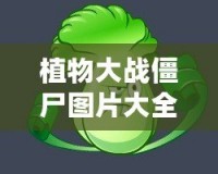 植物大戰(zhàn)僵尸圖片大全簡(jiǎn)筆畫(huà)植物圖鑒，讓你輕松掌握所有植物與僵尸！