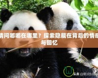 請問嘟嘟在哪里？探索隱藏在背后的情感與回憶