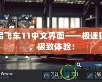 極品飛車11中文界面——極速狂飆，極致體驗！