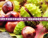 暖暖環(huán)游世界德國攻略省錢技巧，輕松暢游德國不花冤枉錢！