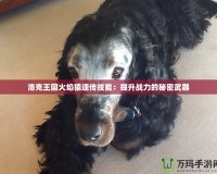 洛克王國(guó)火焰猿遺傳技能：提升戰(zhàn)力的秘密武器