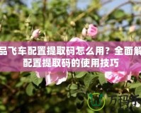 極品飛車配置提取碼怎么用？全面解讀配置提取碼的使用技巧