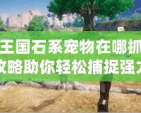 洛克王國石系寵物在哪抓？全面攻略助你輕松捕捉強(qiáng)力伙伴