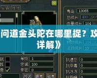 《問道金頭陀在哪里捉？攻略詳解》