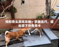 狗和骨頭游戲攻略：掌握技巧，輕松拿下所有關(guān)卡