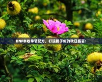 DNF豐收季節(jié)配方，打造屬于你的秋日盛宴！