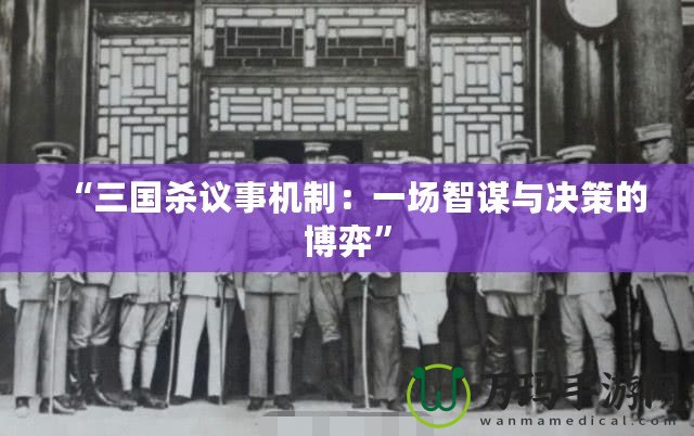 “三國殺議事機(jī)制：一場智謀與決策的博弈”