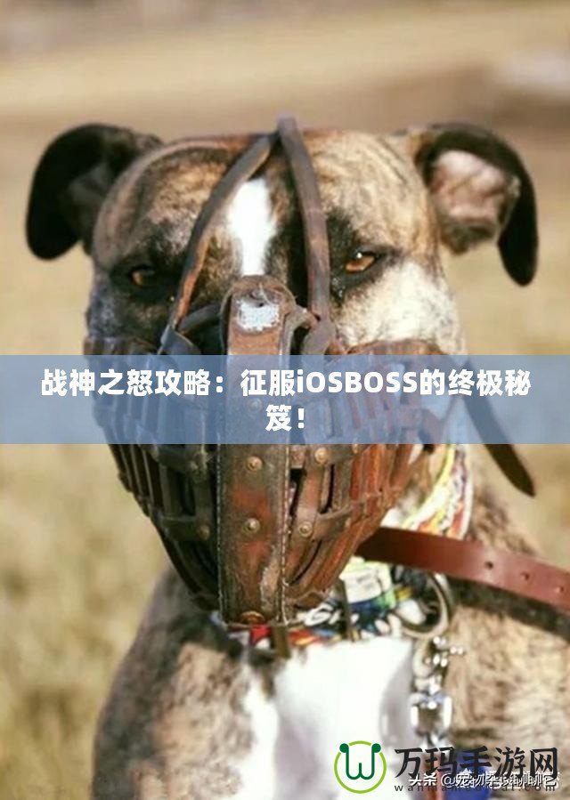 戰(zhàn)神之怒攻略：征服iOSBOSS的終極秘笈！