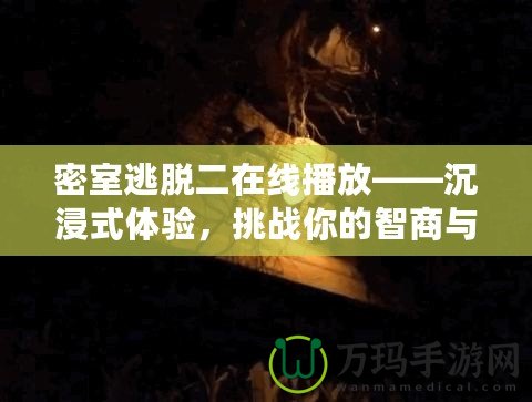 密室逃脫二在線播放——沉浸式體驗，挑戰(zhàn)你的智商與勇氣！