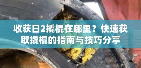 收獲日2撬棍在哪里？快速獲取撬棍的指南與技巧分享