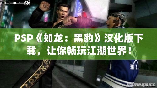 PSP《如龍：黑豹》漢化版下載，讓你暢玩江湖世界！