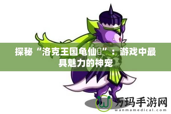 探秘“洛克王國(guó)龜仙鹟”：游戲中最具魅力的神寵