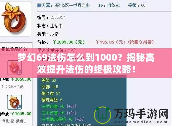 夢(mèng)幻69法傷怎么到1000？揭秘高效提升法傷的終極攻略！