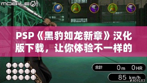 PSP《黑豹如龍新章》漢化版下載，讓你體驗(yàn)不一樣的江湖風(fēng)云！