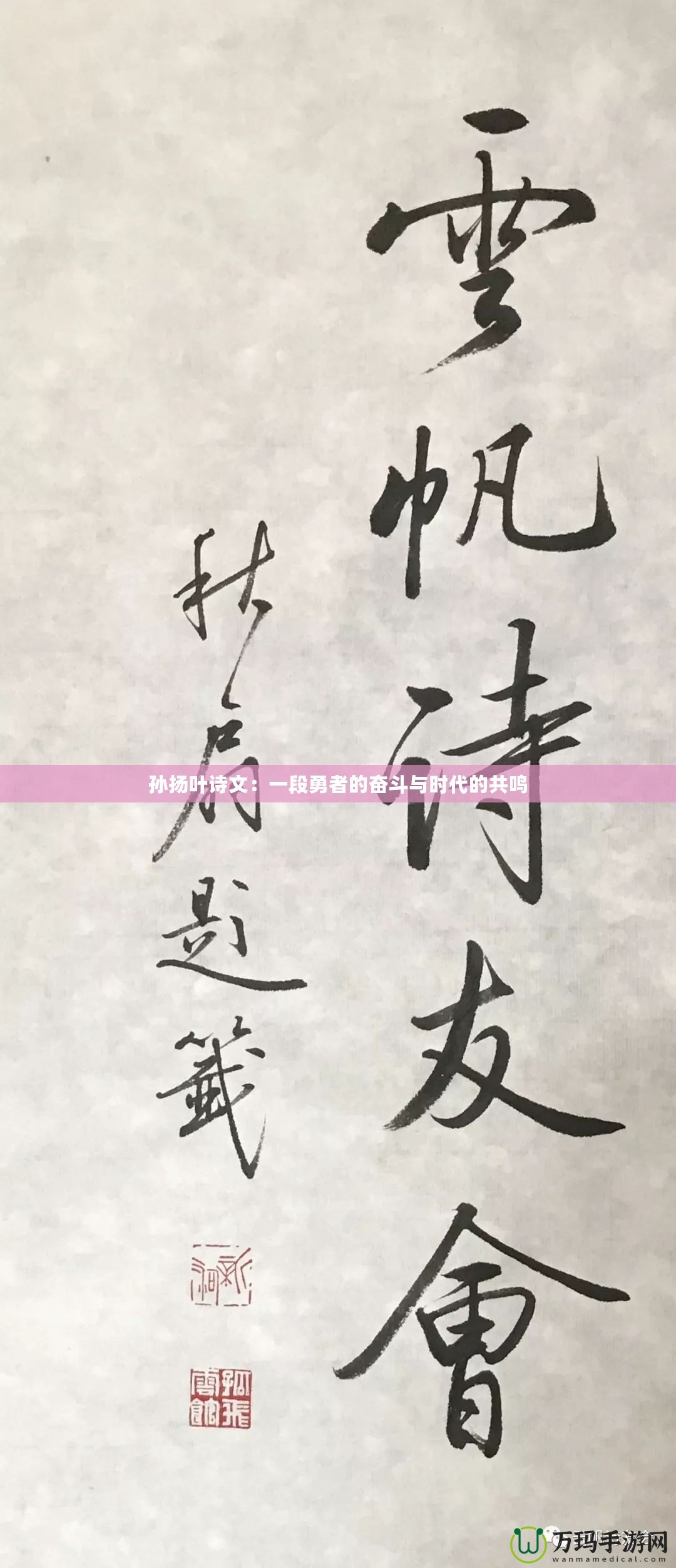 孫揚葉詩文：一段勇者的奮斗與時代的共鳴