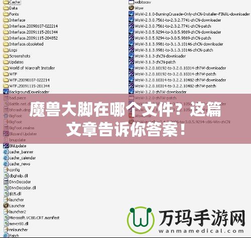 魔獸大腳在哪個(gè)文件？這篇文章告訴你答案！