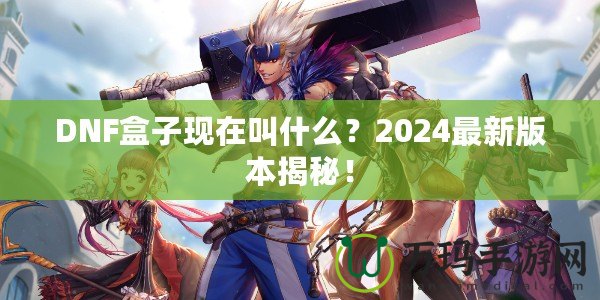 DNF盒子現(xiàn)在叫什么？2024最新版本揭秘！