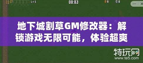 地下城割草GM修改器：解鎖游戲無限可能，體驗超爽割草快感！