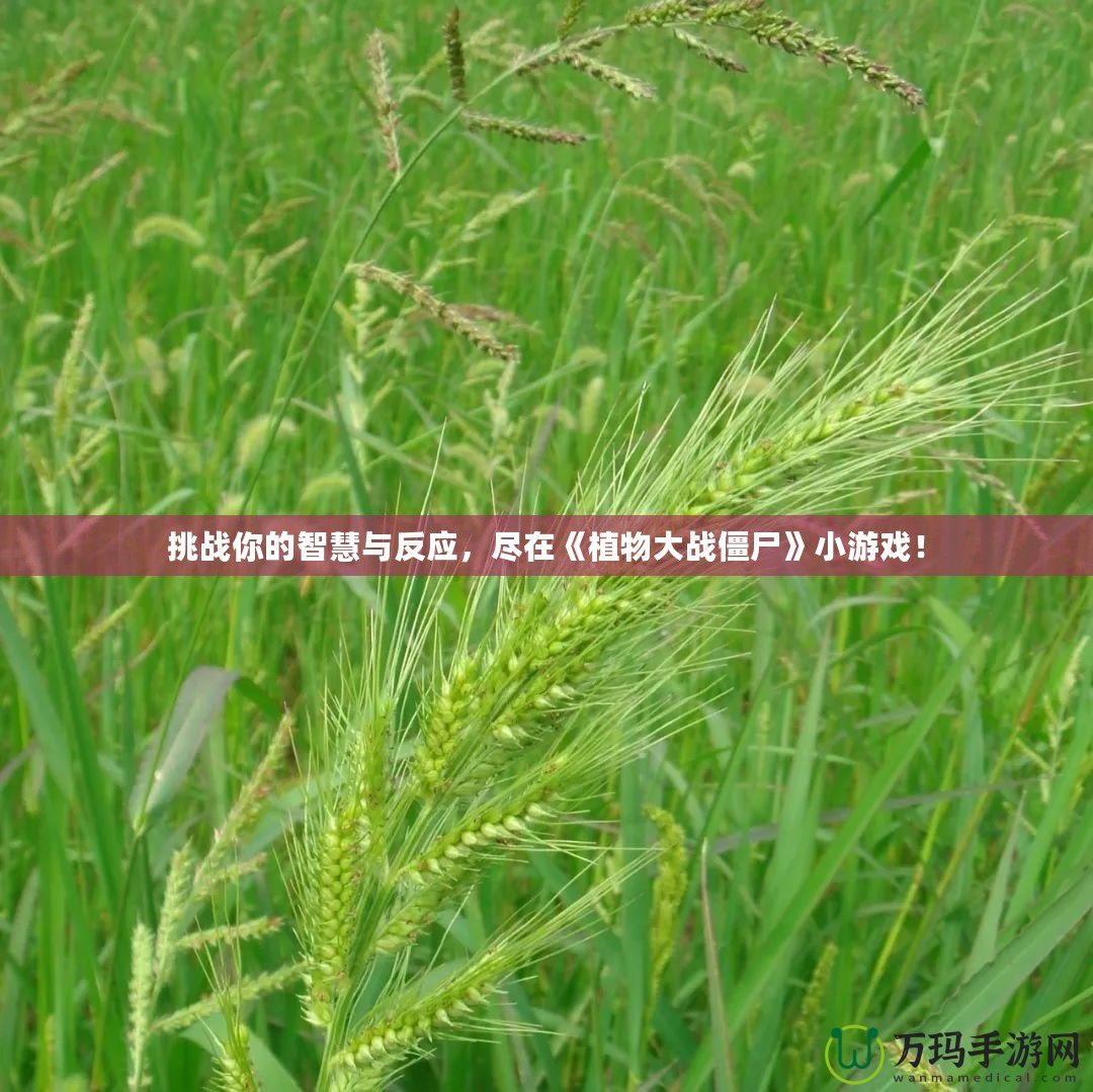 挑戰(zhàn)你的智慧與反應(yīng)，盡在《植物大戰(zhàn)僵尸》小游戲！