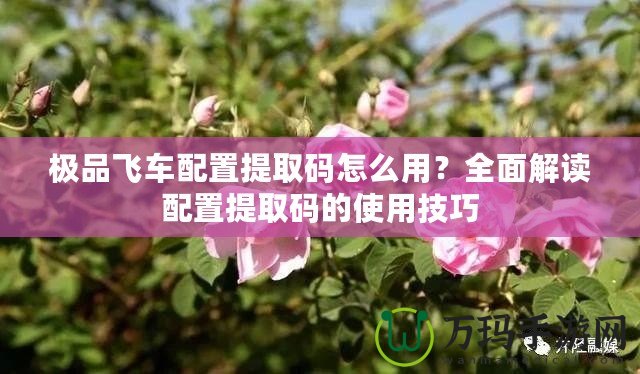 極品飛車配置提取碼怎么用？全面解讀配置提取碼的使用技巧