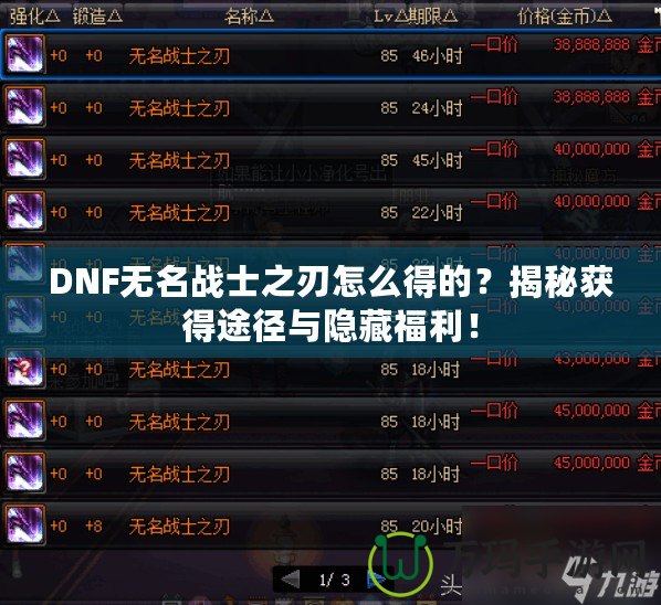 DNF無名戰(zhàn)士之刃怎么得的？揭秘獲得途徑與隱藏福利！