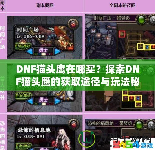 DNF貓頭鷹在哪買？探索DNF貓頭鷹的獲取途徑與玩法秘訣！