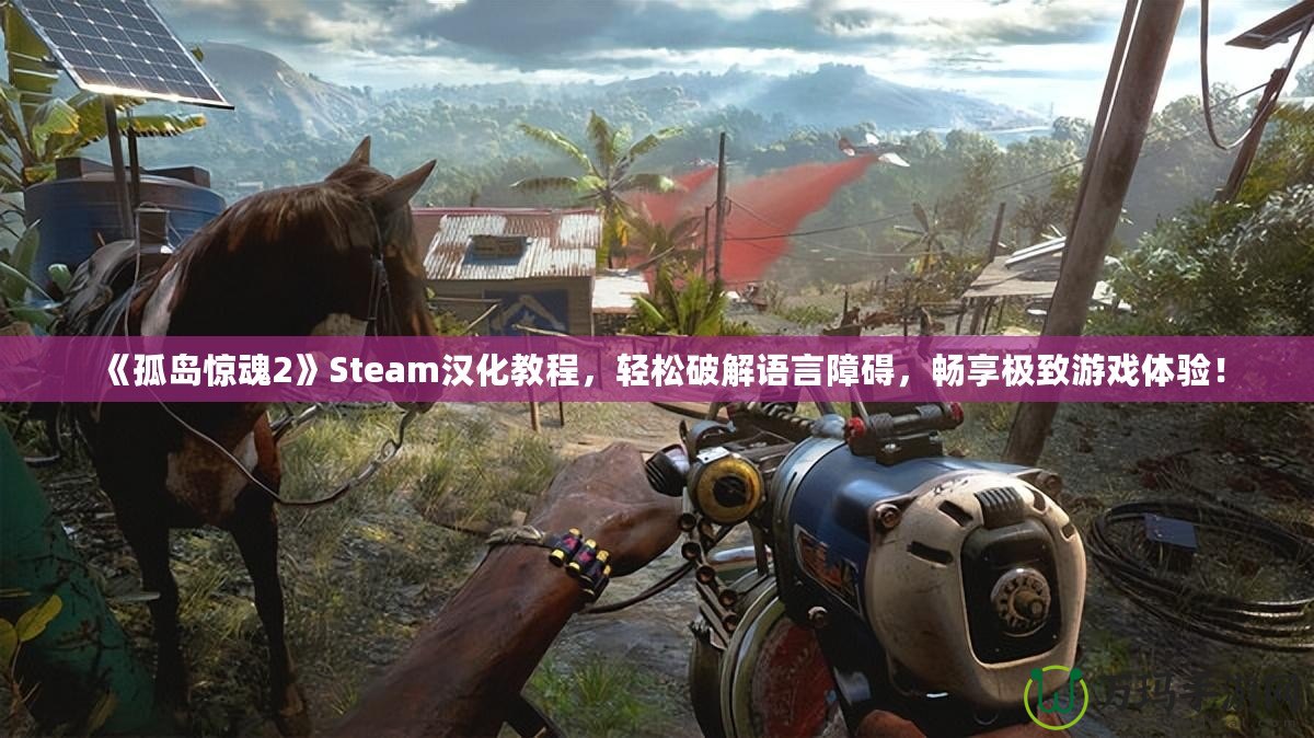 《孤島驚魂2》Steam漢化教程，輕松破解語言障礙，暢享極致游戲體驗！