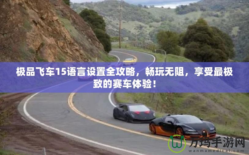 極品飛車15語言設(shè)置全攻略，暢玩無阻，享受最極致的賽車體驗！