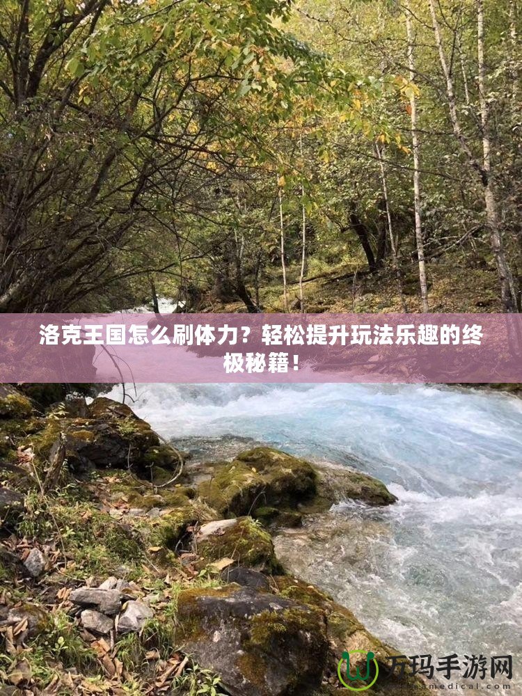 洛克王國怎么刷體力？輕松提升玩法樂趣的終極秘籍！