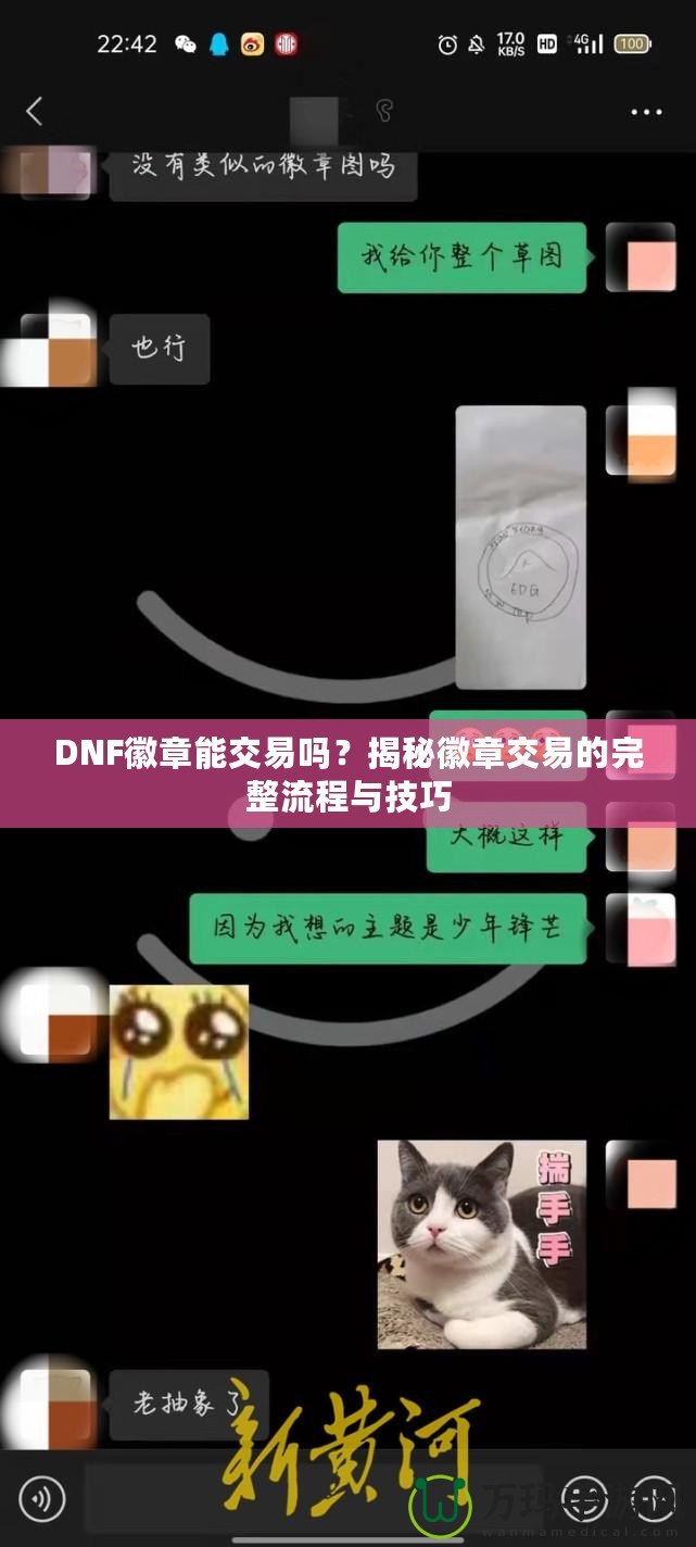 DNF徽章能交易嗎？揭秘徽章交易的完整流程與技巧