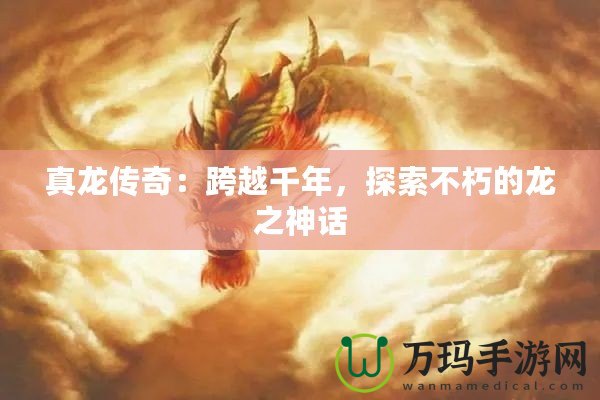 真龍傳奇：跨越千年，探索不朽的龍之神話