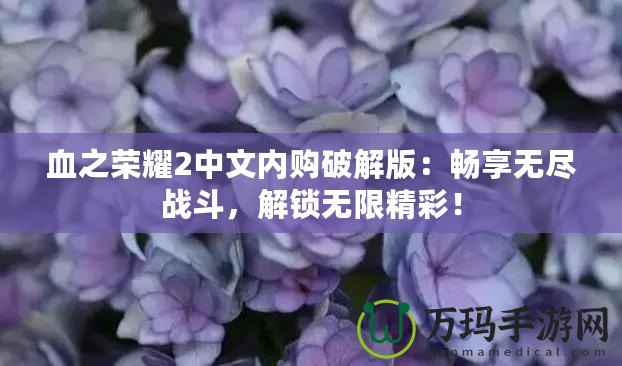 血之榮耀2中文內(nèi)購破解版：暢享無盡戰(zhàn)斗，解鎖無限精彩！