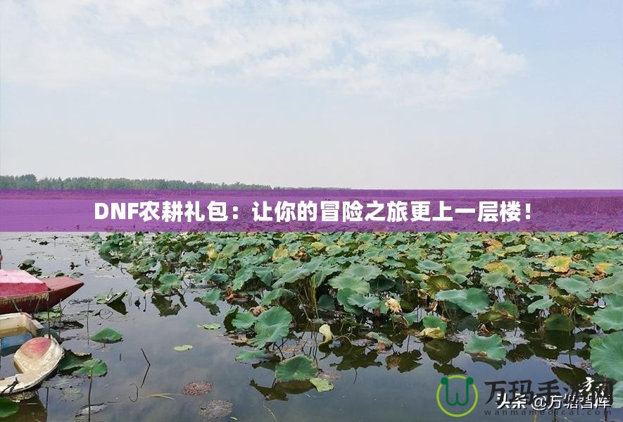 DNF農(nóng)耕禮包：讓你的冒險之旅更上一層樓！