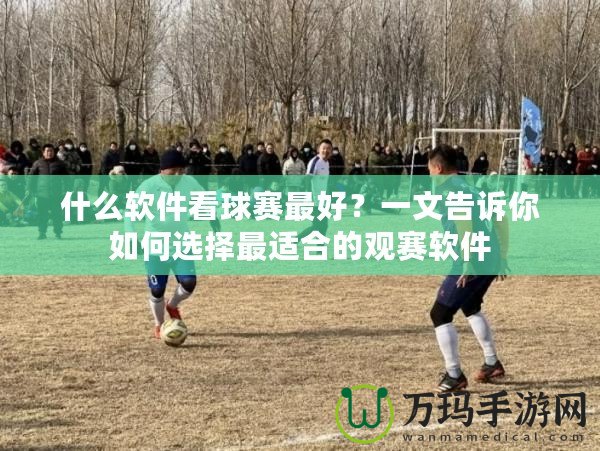 什么軟件看球賽最好？一文告訴你如何選擇最適合的觀賽軟件