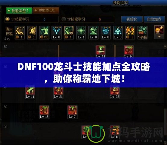 DNF100龍斗士技能加點(diǎn)全攻略，助你稱霸地下城！