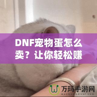 DNF寵物蛋怎么賣(mài)？讓你輕松賺取豐厚收益的實(shí)用技巧