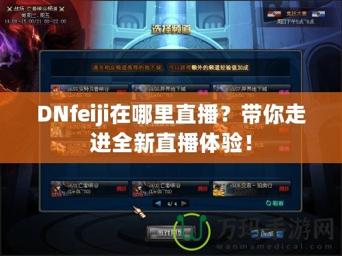 DNfeiji在哪里直播？帶你走進全新直播體驗！