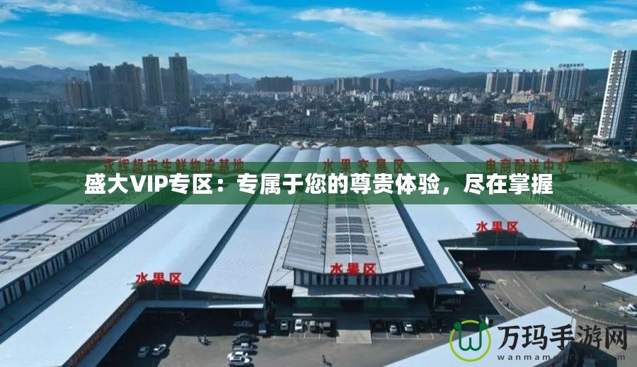 盛大VIP專區(qū)：專屬于您的尊貴體驗(yàn)，盡在掌握