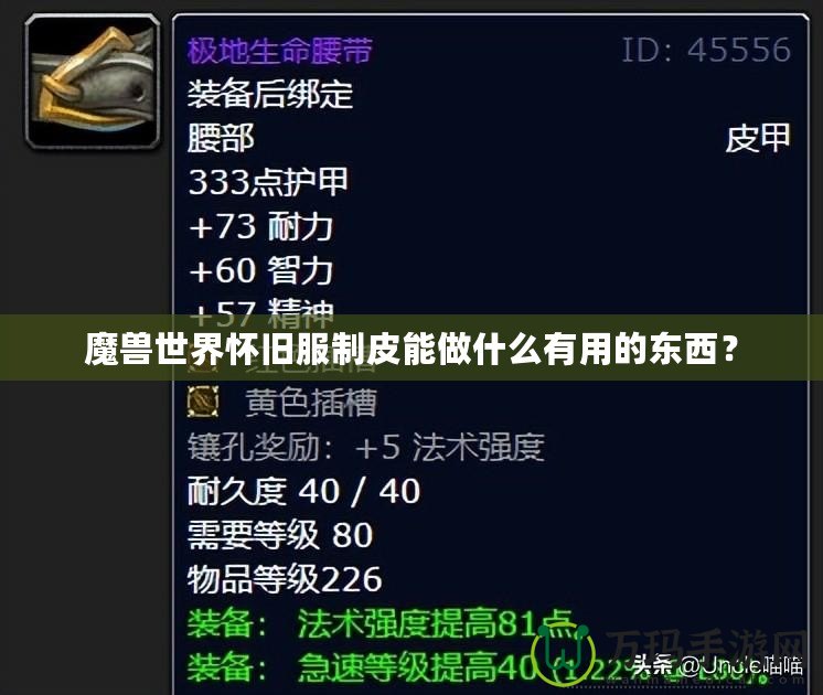 魔獸世界懷舊服制皮能做什么有用的東西？