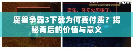 魔獸爭霸3下載為何要付費？揭秘背后的價值與意義