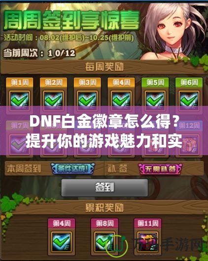 DNF白金徽章怎么得？提升你的游戲魅力和實(shí)力！