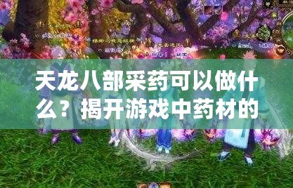 天龍八部采藥可以做什么？揭開游戲中藥材的神秘面紗！