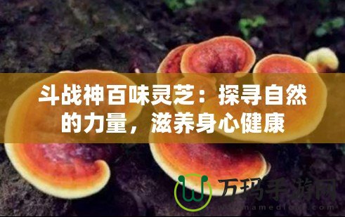 斗戰(zhàn)神百味靈芝：探尋自然的力量，滋養(yǎng)身心健康