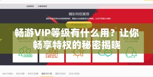 暢游VIP等級(jí)有什么用？讓你暢享特權(quán)的秘密揭曉