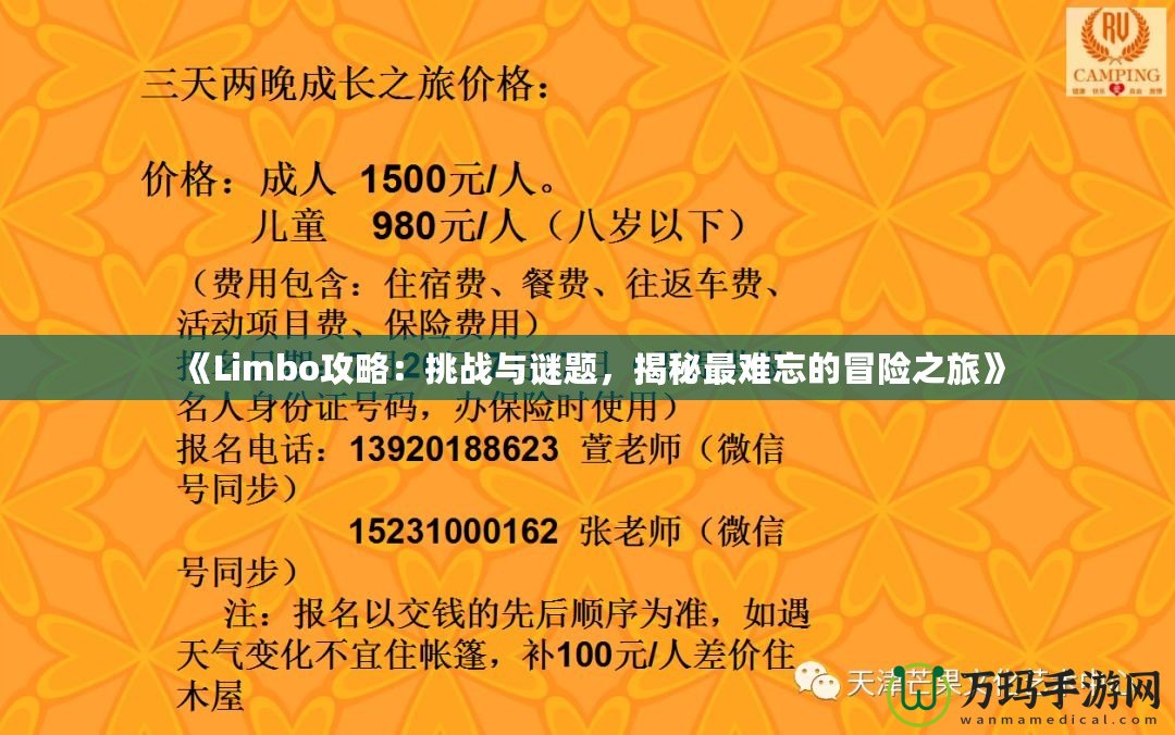 《Limbo攻略：挑戰(zhàn)與謎題，揭秘最難忘的冒險(xiǎn)之旅》